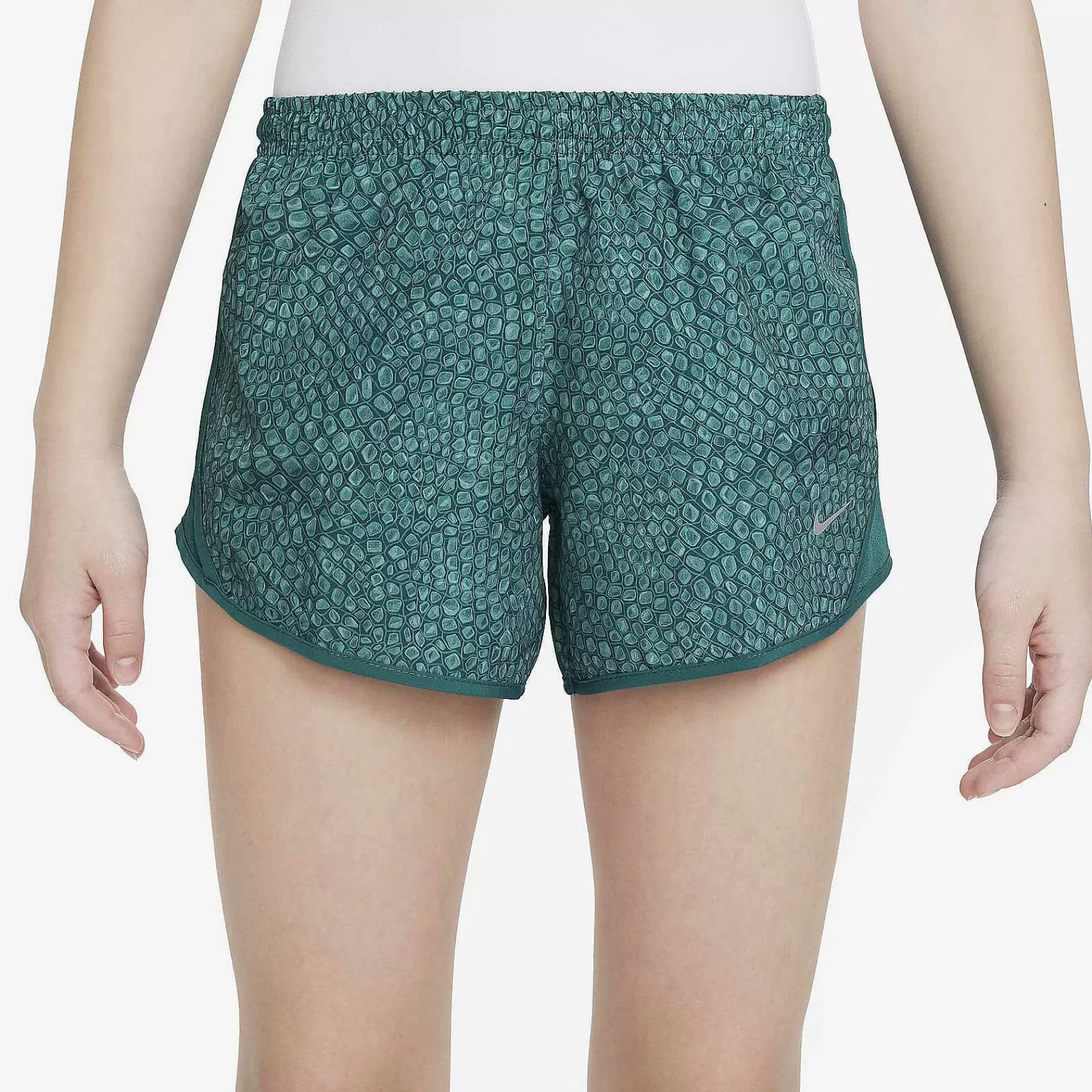 Shorts-Nike Shorts Dri-Fit Tempo