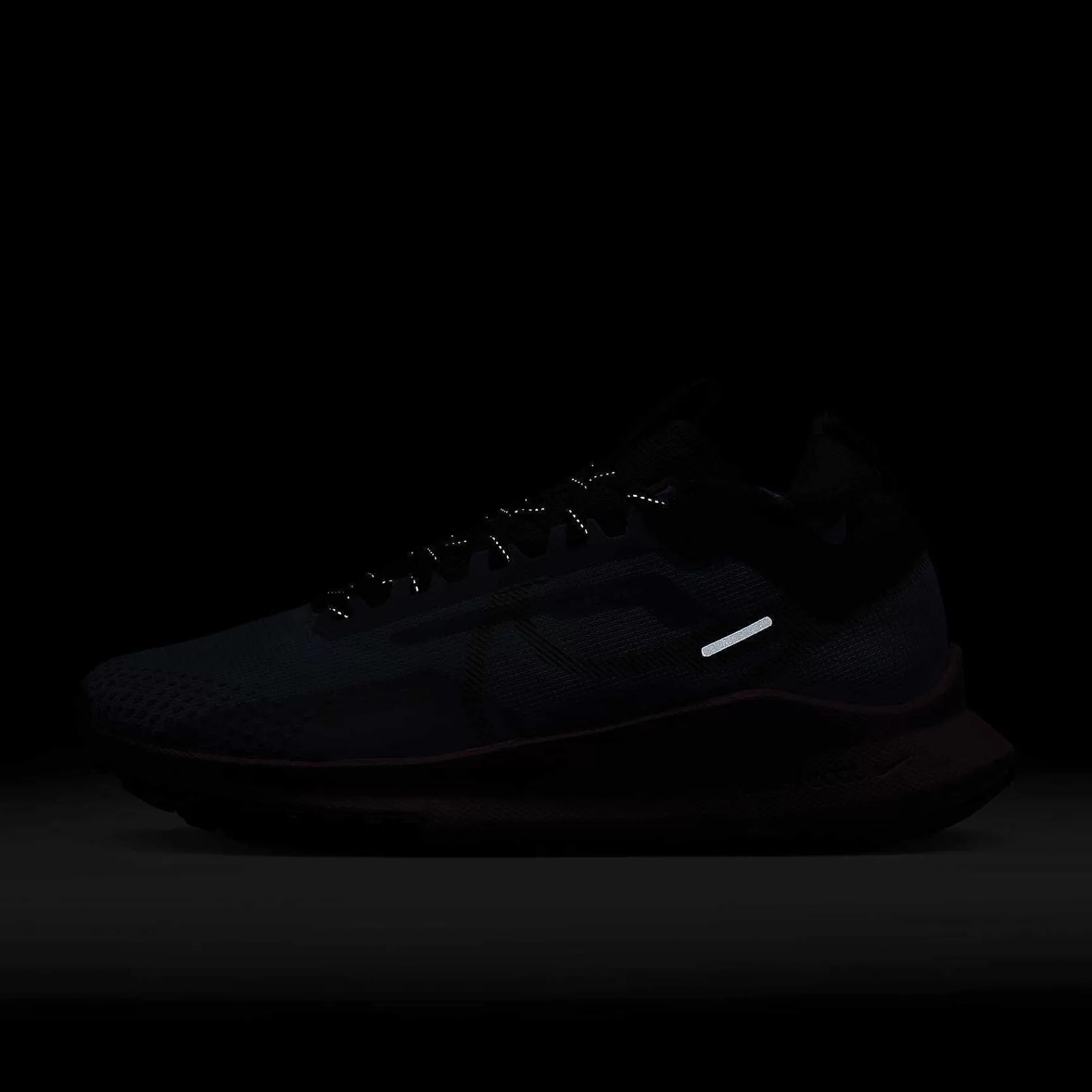 Cyber Monday Shoes-Nike Cyber Monday Shoes Pegasus Trail 4 Gore-Tex